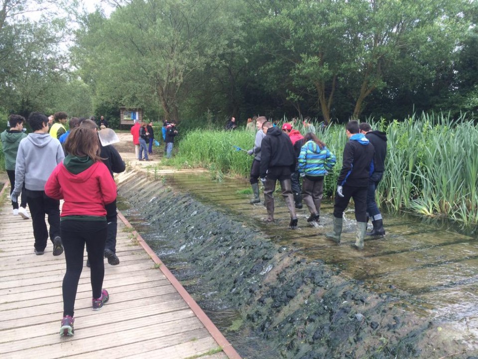 Limpiando el rio Santo Tomás en Salburua, 22.05.2015
