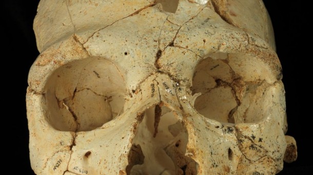 Los homínidos de la Sima de los Huesos pertenecen al linaje neandertal