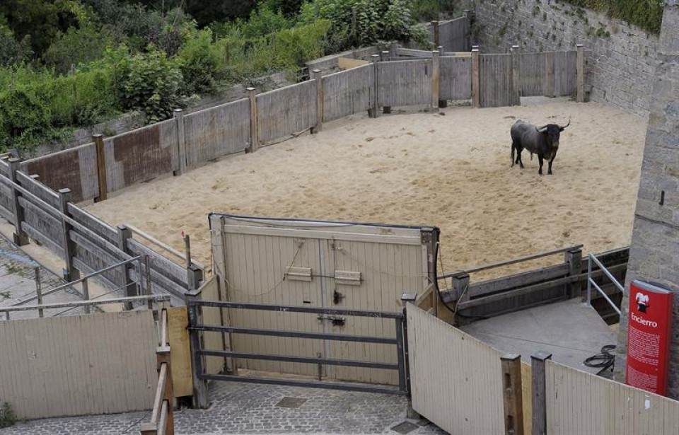 Entzierro arriskutsu eta ezohikoa egin dute Escolarren hasiberriek. Argazkia: EFE