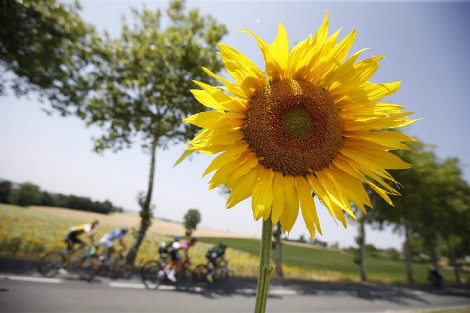 Tour de Francia etapa 13ª. Foto: Efe.