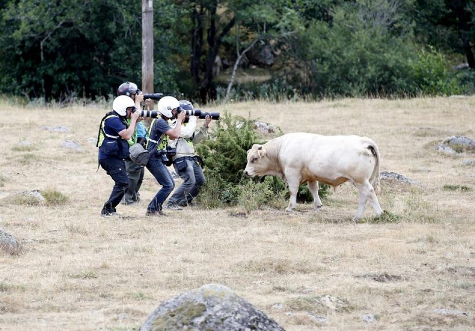 Tour de Francia etapa 15ª. Foto: Efe.