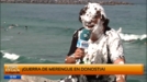 Reportero caído en la guerra de merengue de Donostia