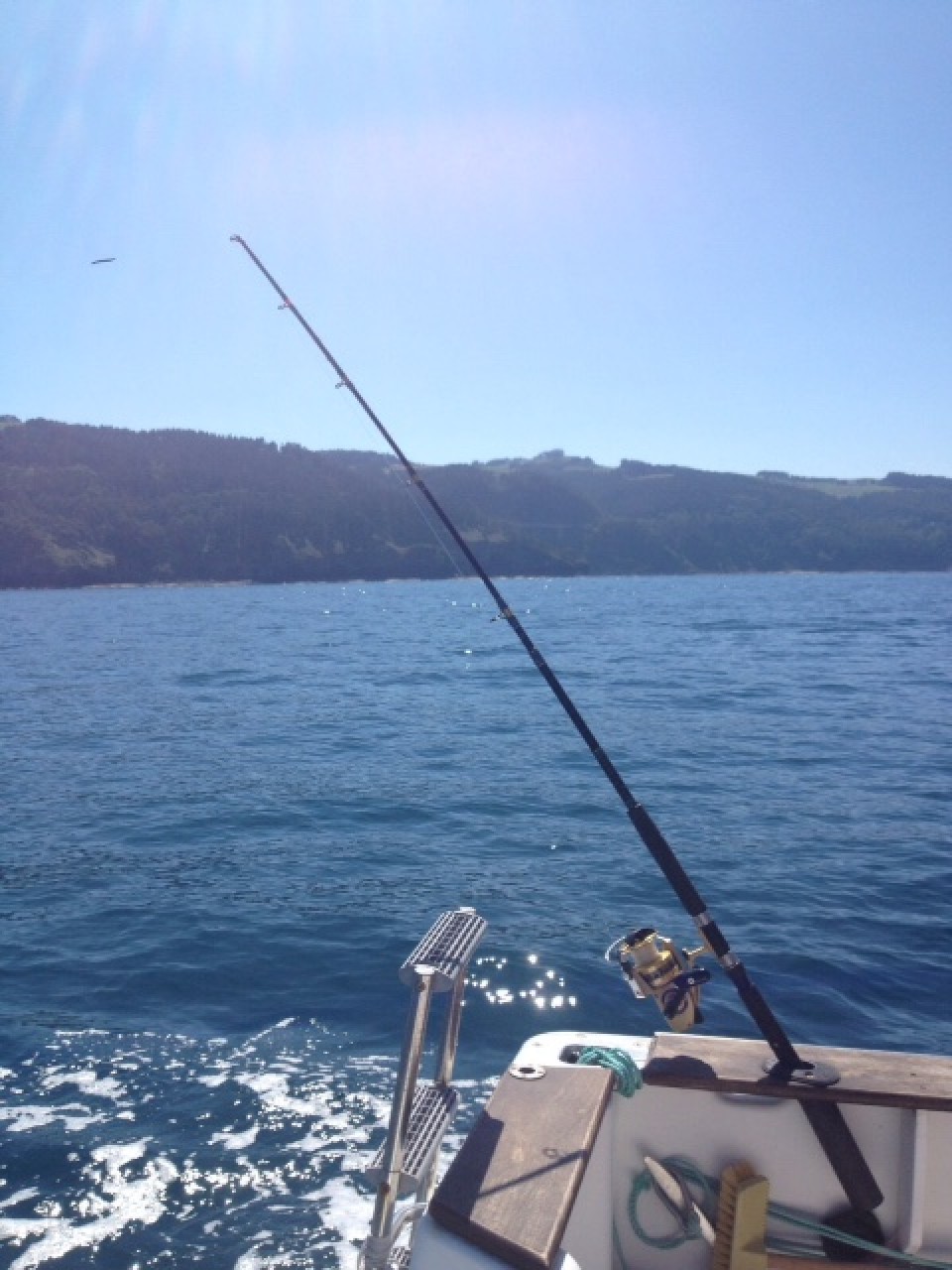 Argazkia: Lander Eizagirre