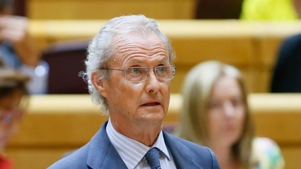 El ministro de Defensa, Pedro Morenés, en el Senado. Foto: EFE