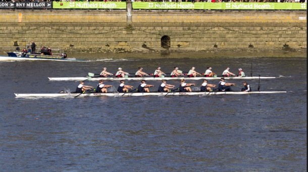 Arraunlari eta matematikari baten curriculuma