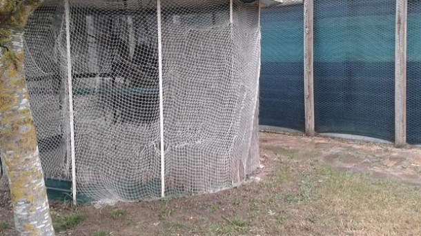 40 aniversario del centro de recuperación de fauna de Mártioda