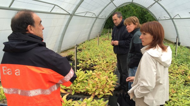 Vivero Martintxune, ejemplo de reforestación en Bizkaia