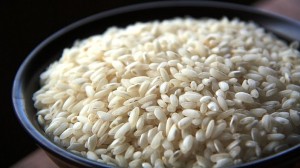 Navarra inicia la campaña del arroz