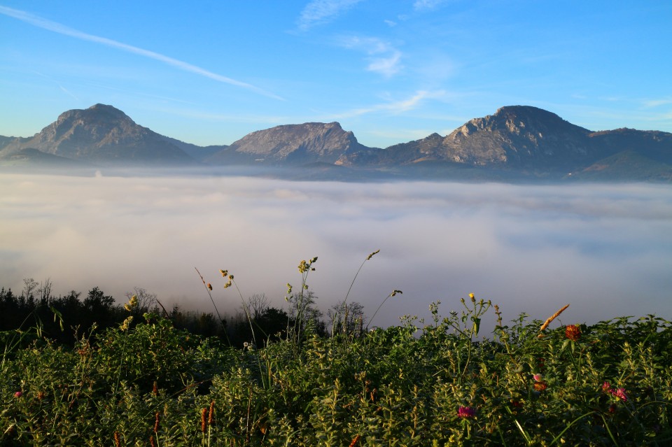 Garai. Argazkia: Txaro Ortiz de Zarate.