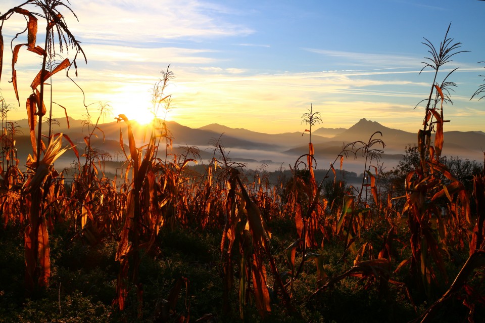 Garai. Argazkia: Txaro Ortiz de Zarate.