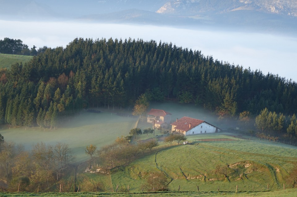 Garai. Argazkia: Txaro Ortiz de Zarate.