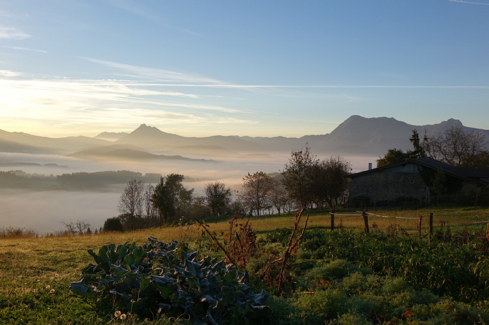 Garai. Argazkia: Txaro Ortiz de Zarate.