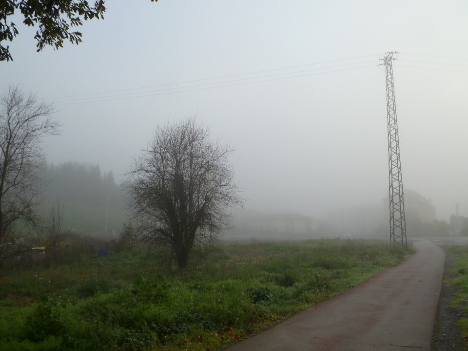 Iurreta. Argazkia: Iratxe Ayarzaguena.