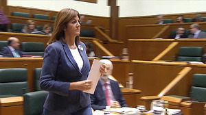 El Parlamento Vasco da luz verde a debatir la reforma de la LTH