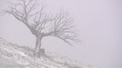 La primera nevada de la temporada cubre la sierra de Aralar