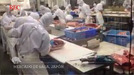 Los japoneses, ¡auténticos expertos cortando carne!