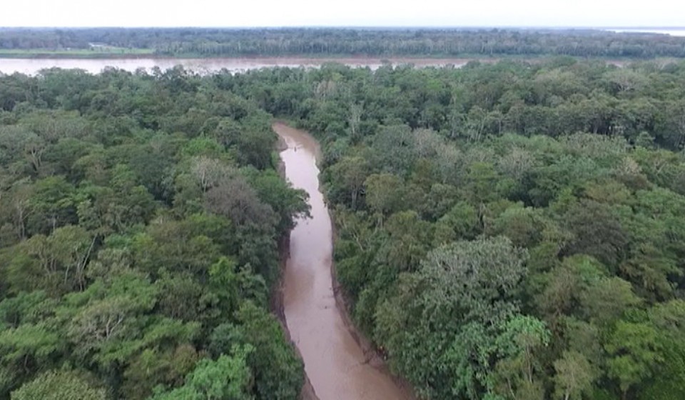 'Conquis' berria, Amazonasen