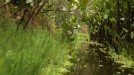 'Conquis' berria, Amazonasen title=