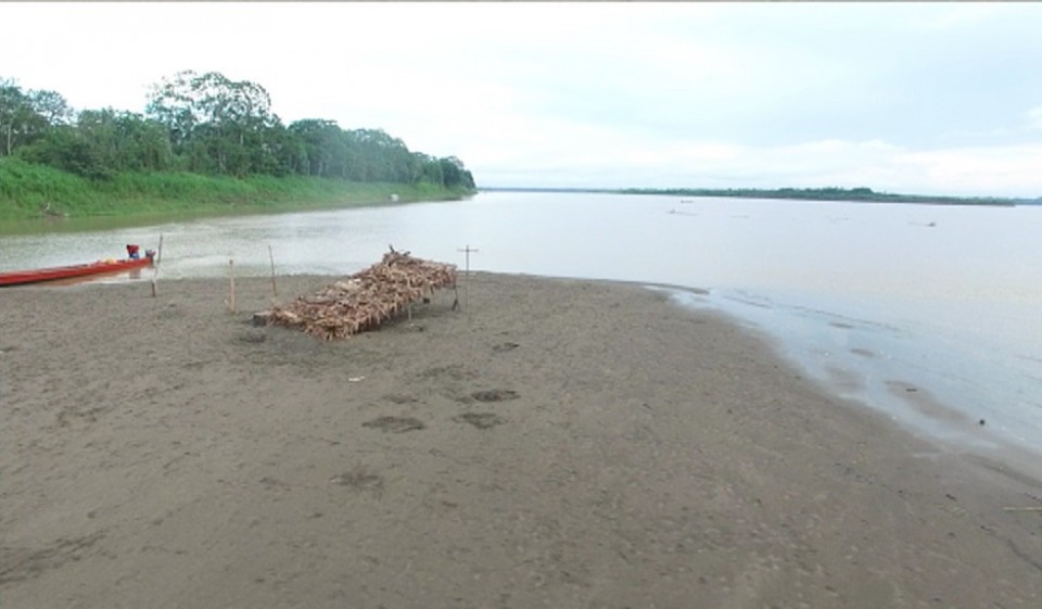 'Conquis' berria, Amazonasen