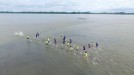 'Conquis' berria, Amazonasen title=