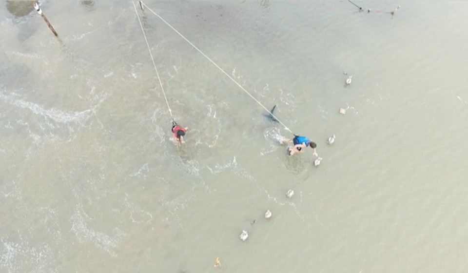 'Conquis' berria, Amazonasen