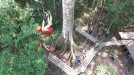 'Conquis' berria, Amazonasen title=
