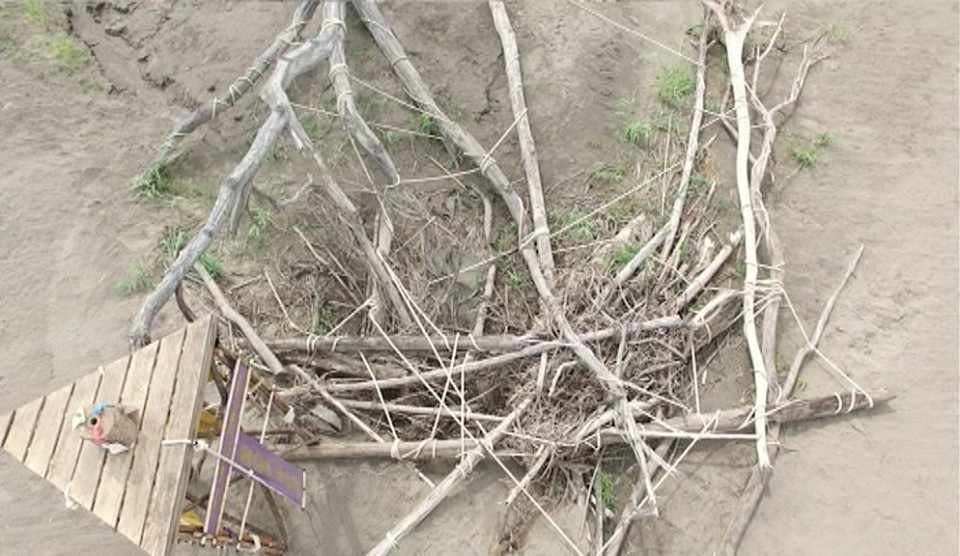 'Conquis' berria, Amazonasen