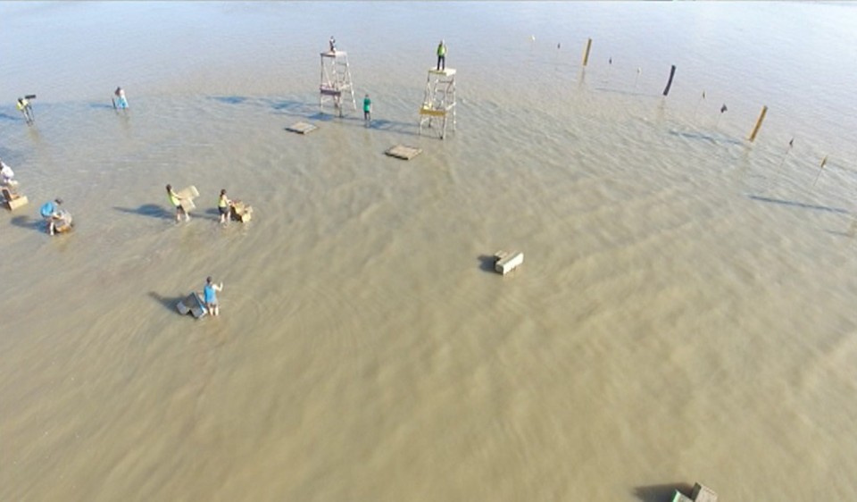 'Conquis' berria, Amazonasen