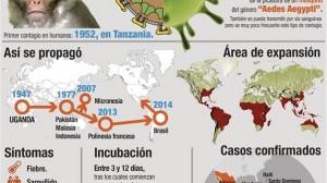 El zika ¿Una amenaza global?