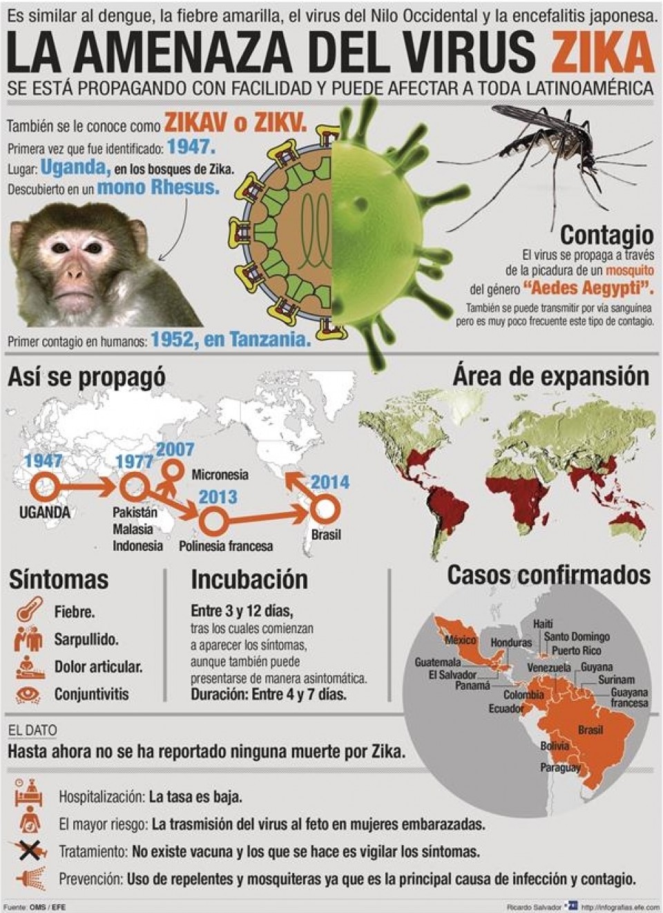 El zika ¿Una amenaza global?