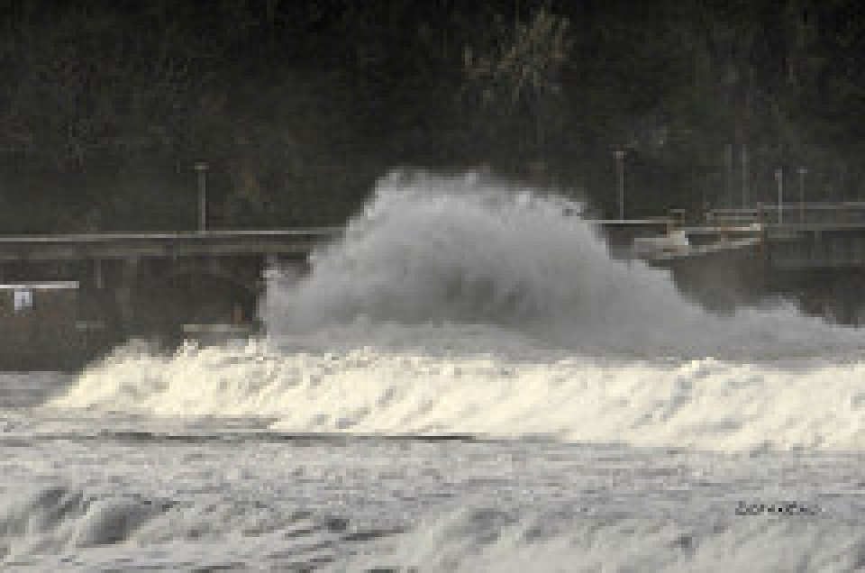 Zarautz. Argazkia: Lorentxo Portularrume.