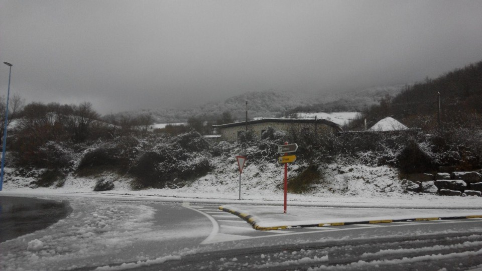 Altsasu, Iñaki Amado