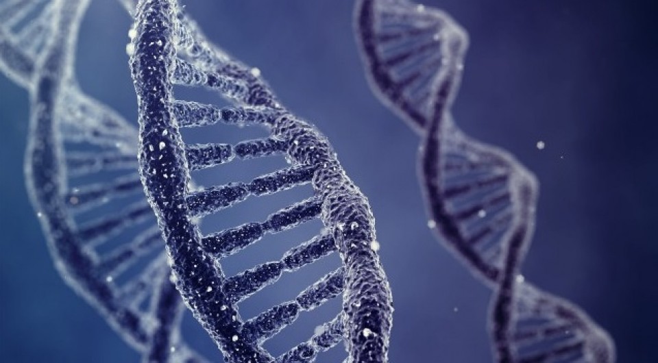 La generación de la secuencia proporciona la primera visión completa de nuestro ADN. Foto: EITB