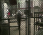 91 presos siguen encerrados en Guantánamo, sin cargos