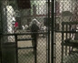 91 preso daude Guantanamon, inolako kargurik gabe