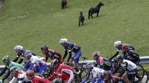 3ª etapa: Vitoria-Gasteiz - Lesaka