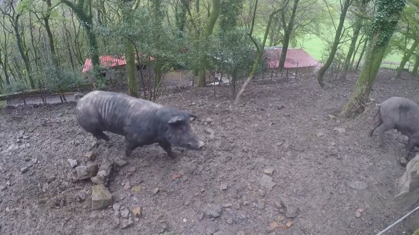 Eskean Kristo: ezkurrik onenak zuzenean