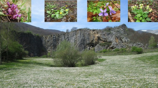 Llega la primavera en el Parque Natural del Gorbeia
