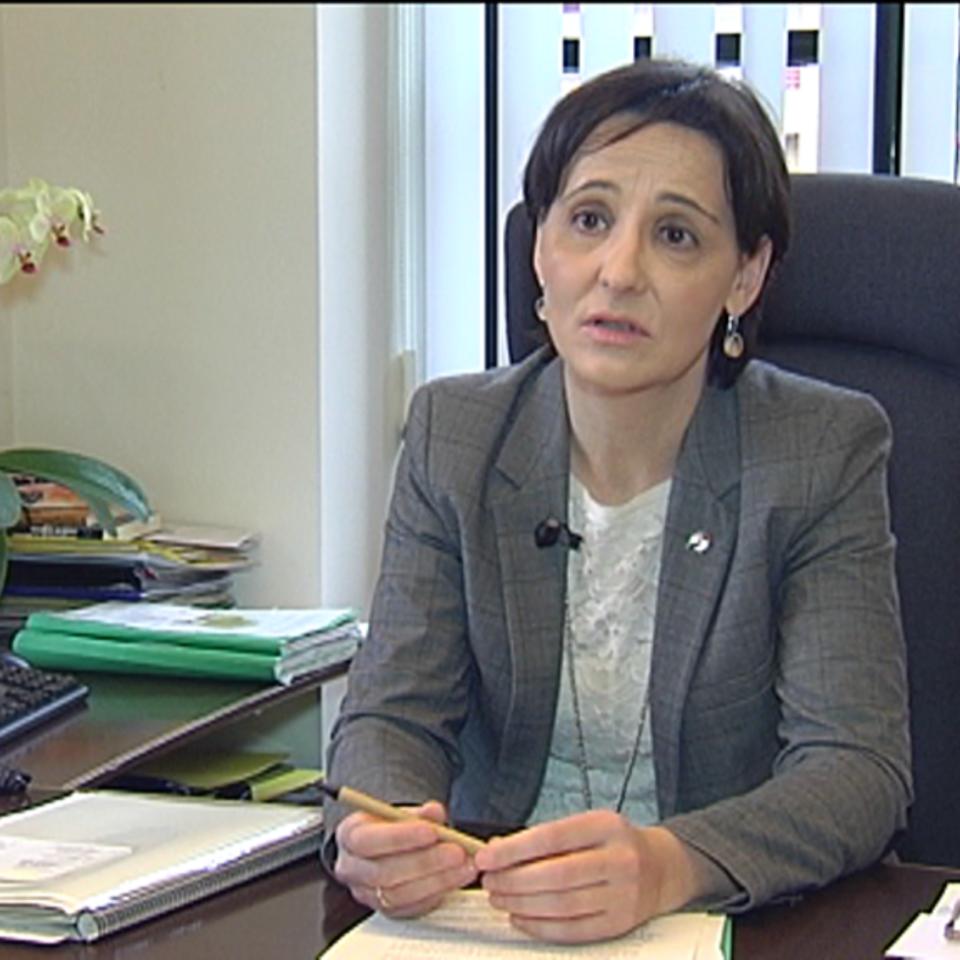 Los alcaldes vascos, satisfechos con la nueva Ley Municipal aprobada