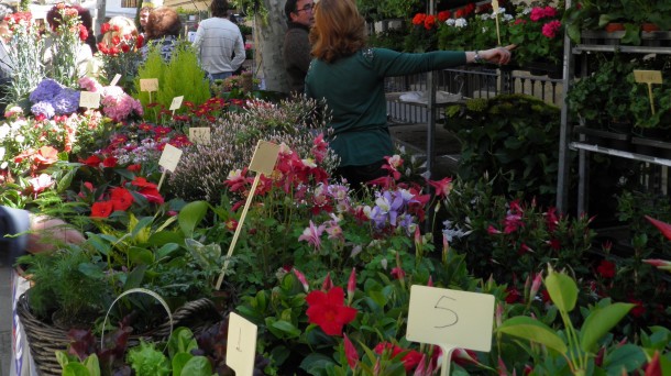 Las flores toman Elciego por quinto año