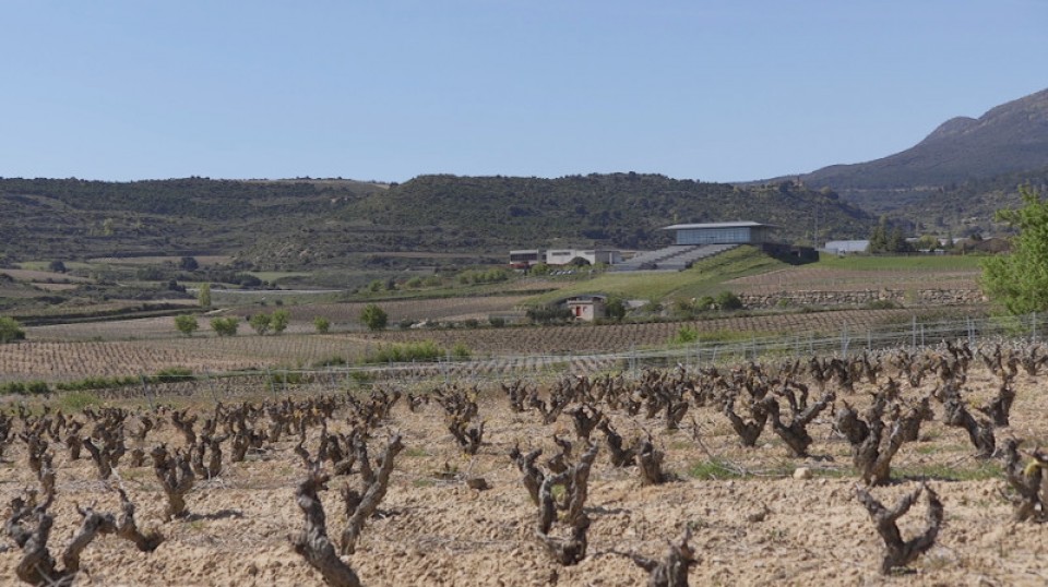 Bodegas Baigorri