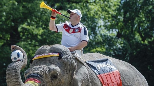 El elefante Mogli muestra su apoyo al equipo alemán. EFE