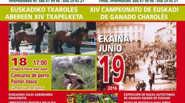 Feria ganadera de San Juan en Orduña