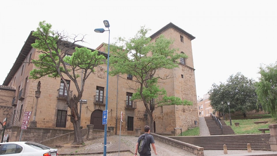 Palacio de Los mencos, Tafalla