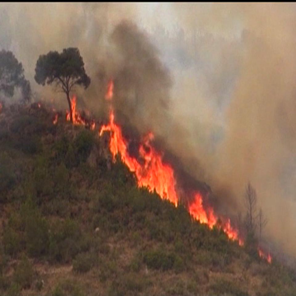 Incendio forestal