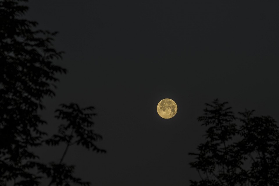 Foto: Juan Lameirinhas