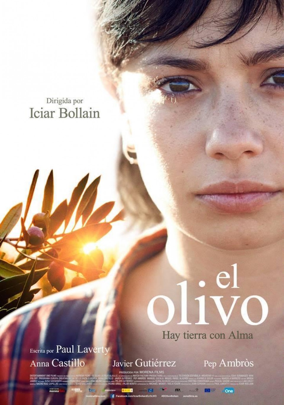 El Olivo filma