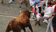 Los toros de Pedraza de Yeltes debutan en un encierro rápido y masivo