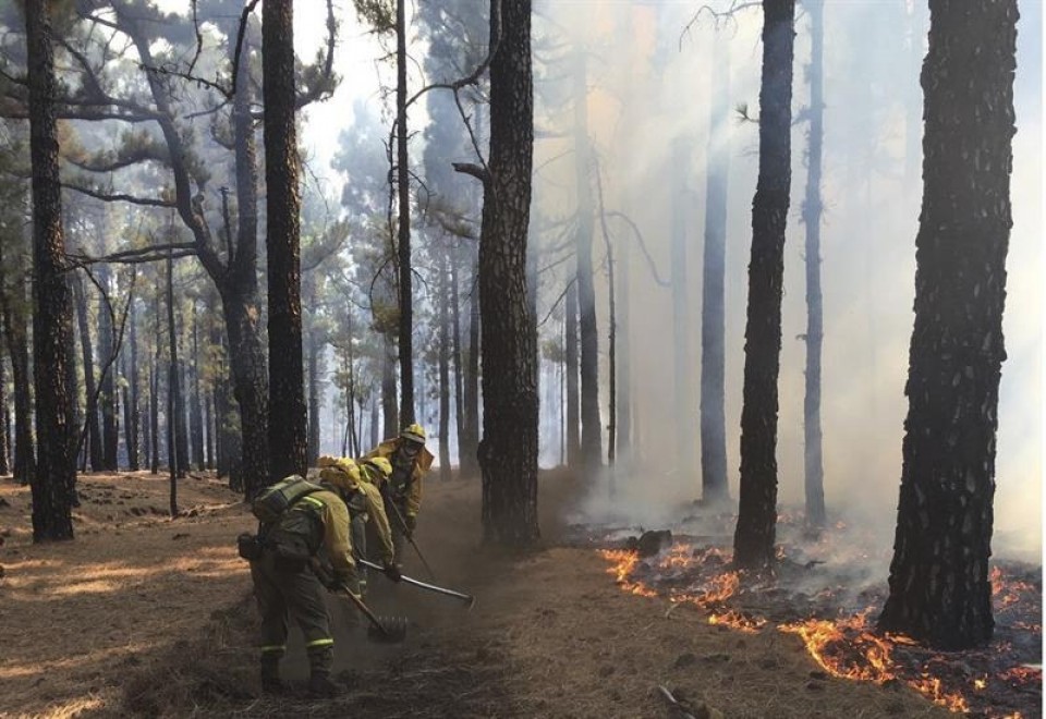 El incendio de La Palma ha afectado casi al 7% de la isla. Foto: EFE