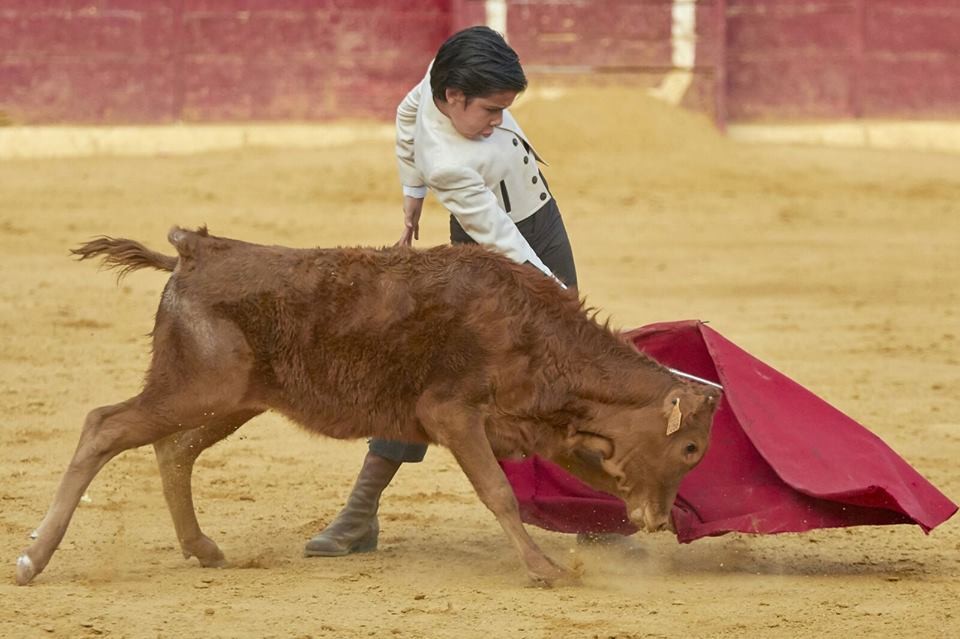 Alberto Donaire, joven torero. Foto: Facebook